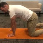 Shoulder push up video